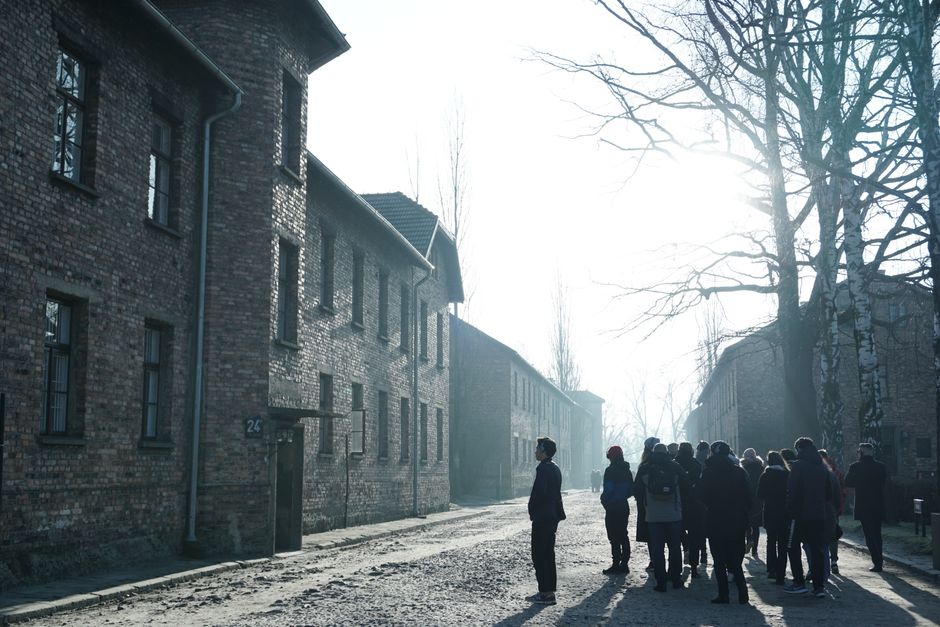 Holocaust Testimonies Preserving Survivor Accounts for Future Generations