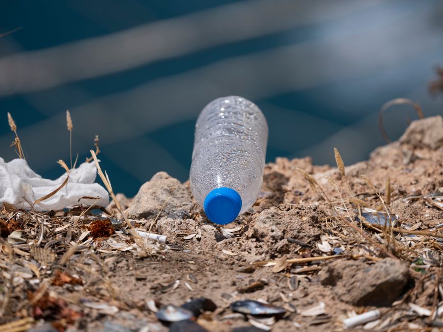 The Success of Rwanda’s Plastic Bag Ban in Combating Pollution
